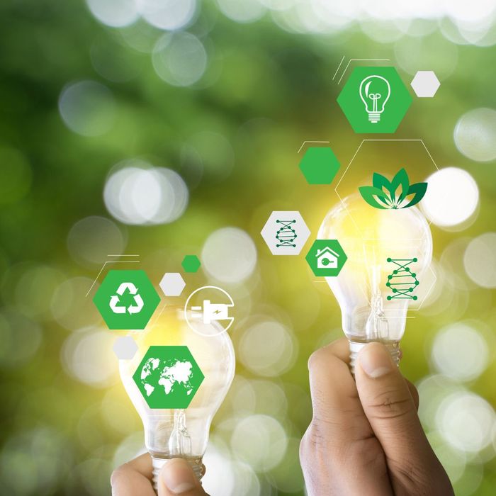 sustainable light bulb graphic 